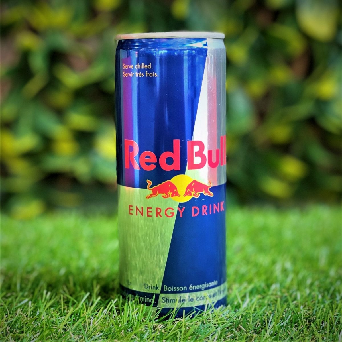 Red Bull 250Ml