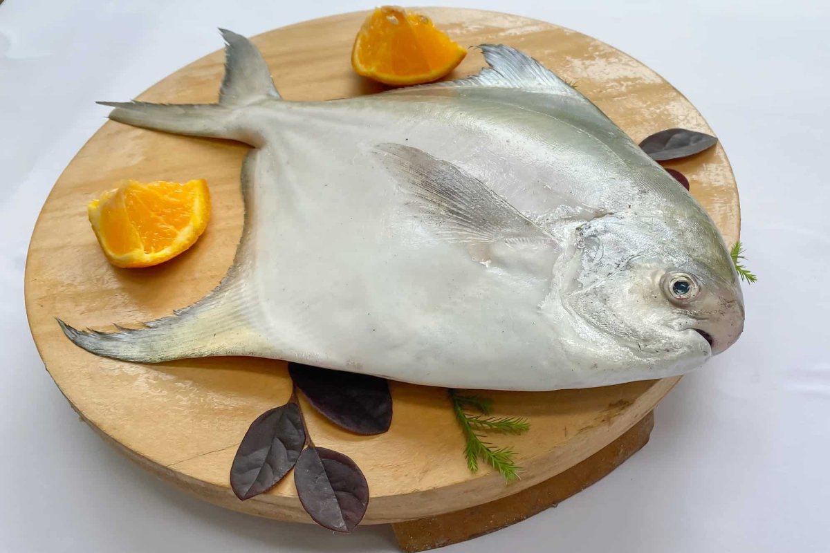 Silver Pomfret (Whole) /lb