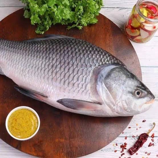Catla Fish (Whole) /lb