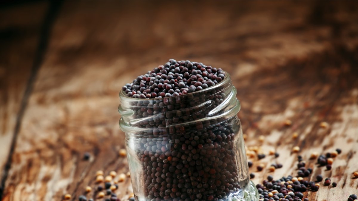 Ravi Mustard Black 200G