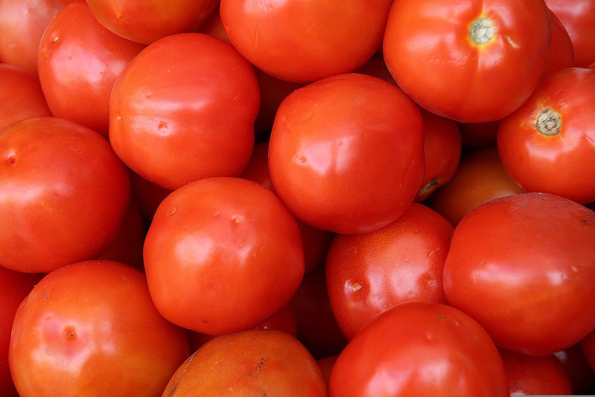 Tomatoes - 10 Lbs