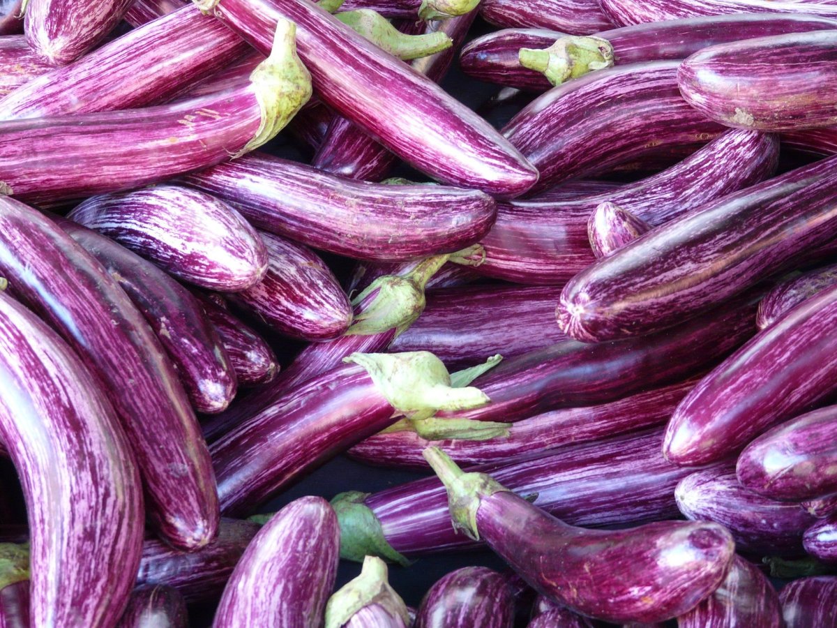 Eggplant - 5LBS