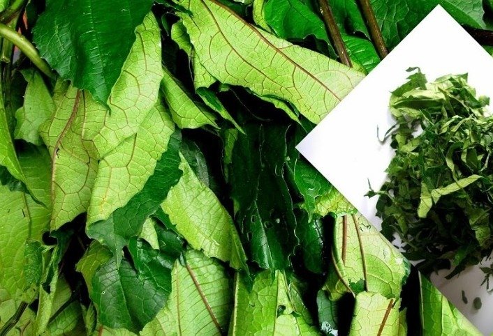 Ugu Leaves - Frozen