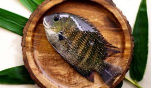 Pearl Spot - Karimeen (Whole) /lb