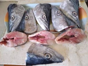 Fish Head /lb
