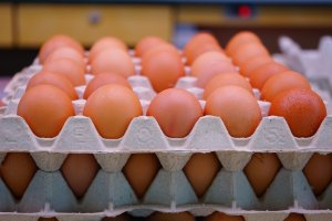 Eggs - 150 pk box