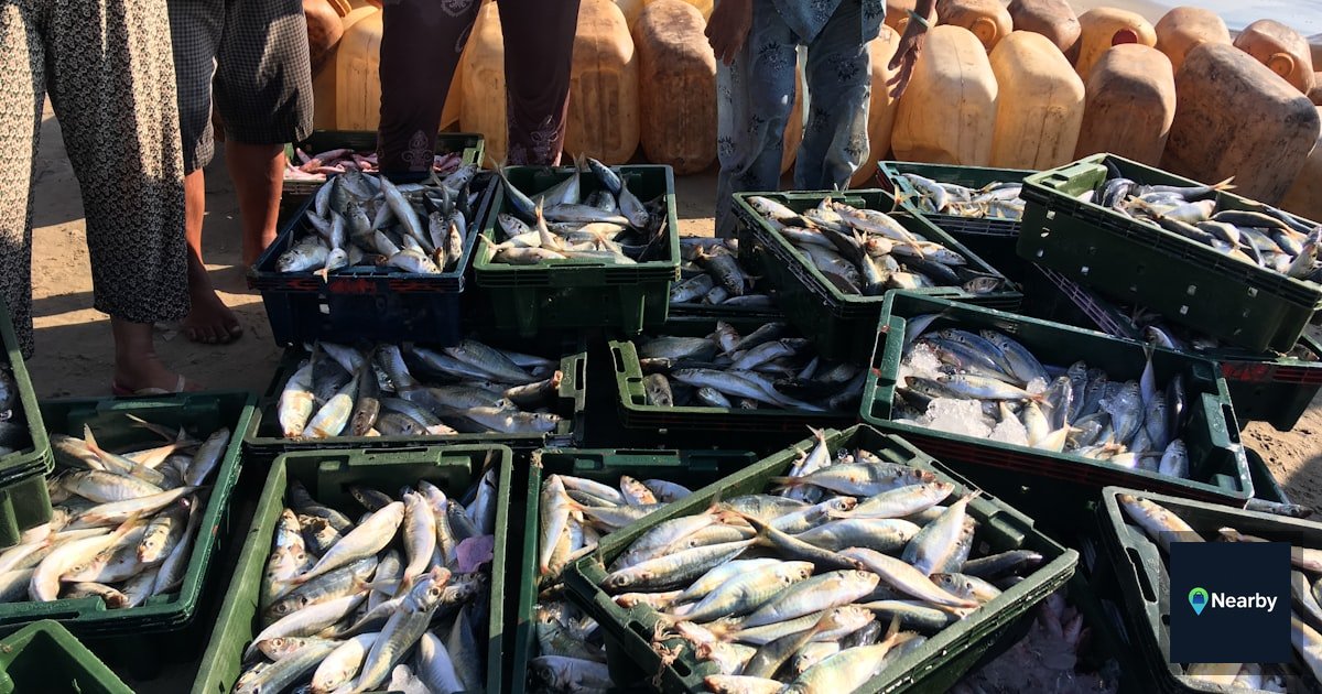 Why Generic E-Commerce Software Fails Butchers and Fish Markets Going Online