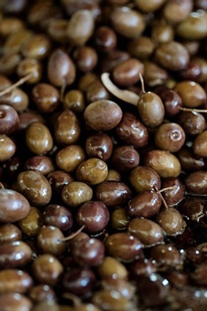 Sama Black Olives Pail 10Kg