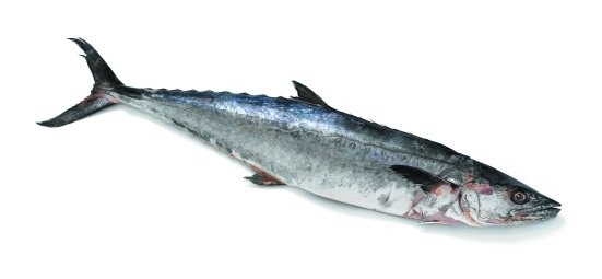 King Fish (Whole) /lb