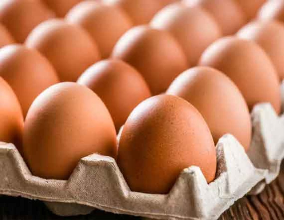 Egg'S Brown Jumbo  Flat