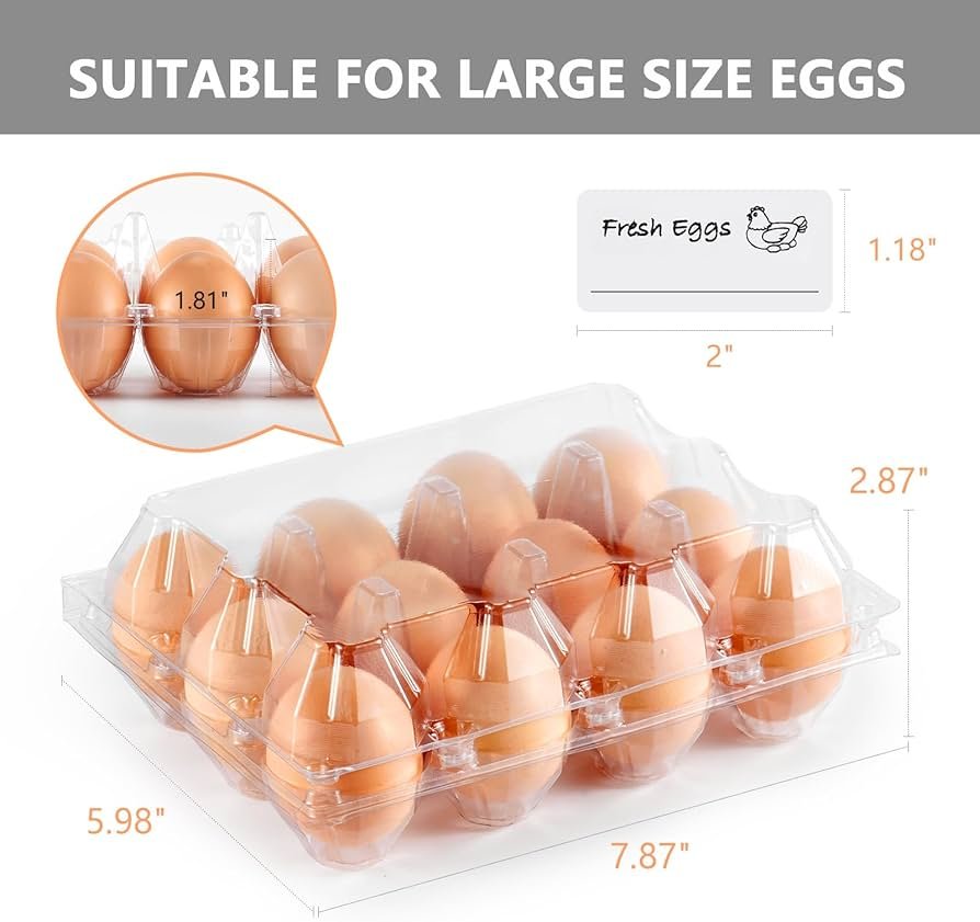 Egg Large Size - Dozen