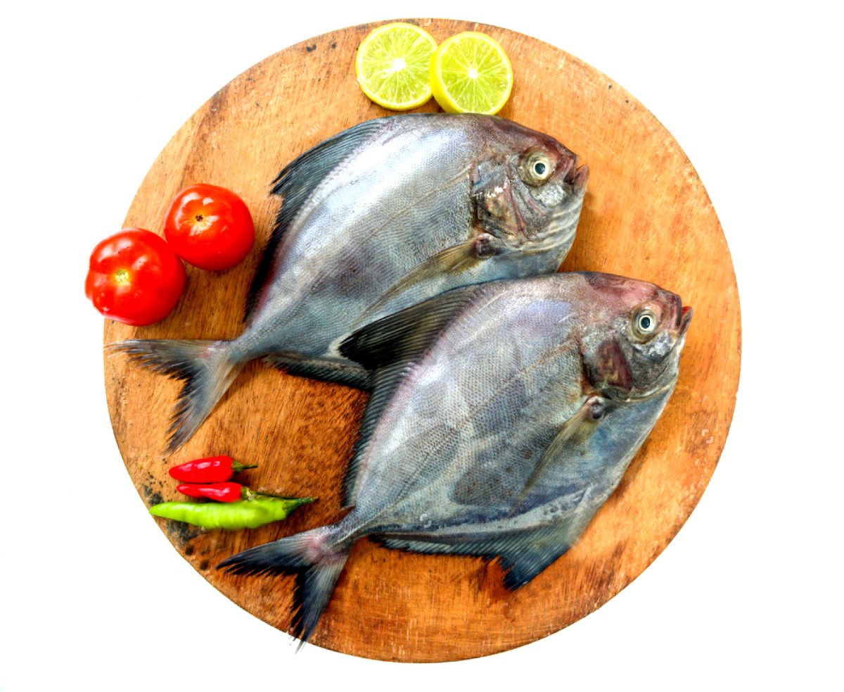 Fresh Black Pomfret/kg