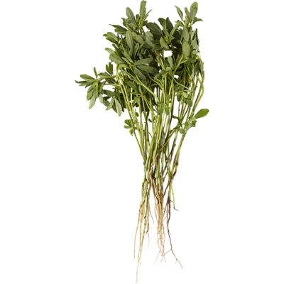 Fenugreek Bunch 1 ea