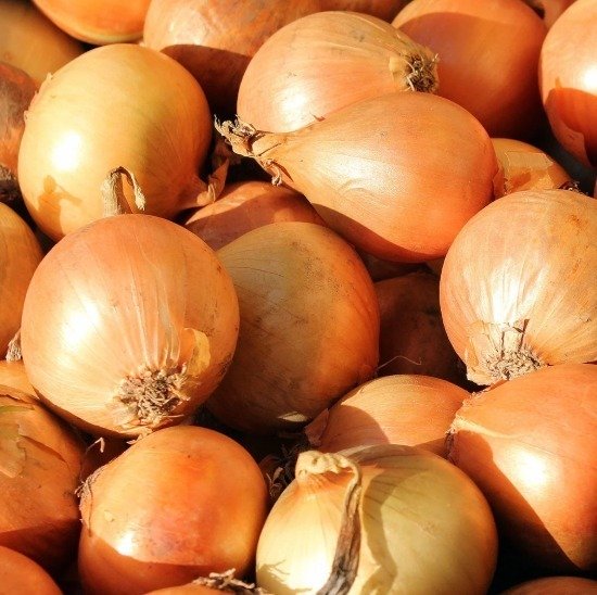 Onion - 50lb, Yellow