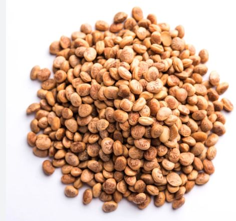 Vishva Charoli 50 g