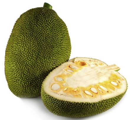 Jackfruit