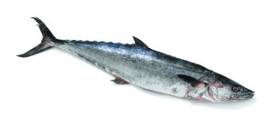 King Fish (Whole) /lb