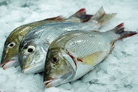 Emperor Fish (Whole) /lb