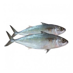 Indian Mackerel (Whole) /lb