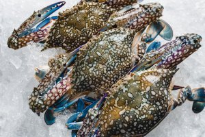 Blue Crab (Whole) /lb
